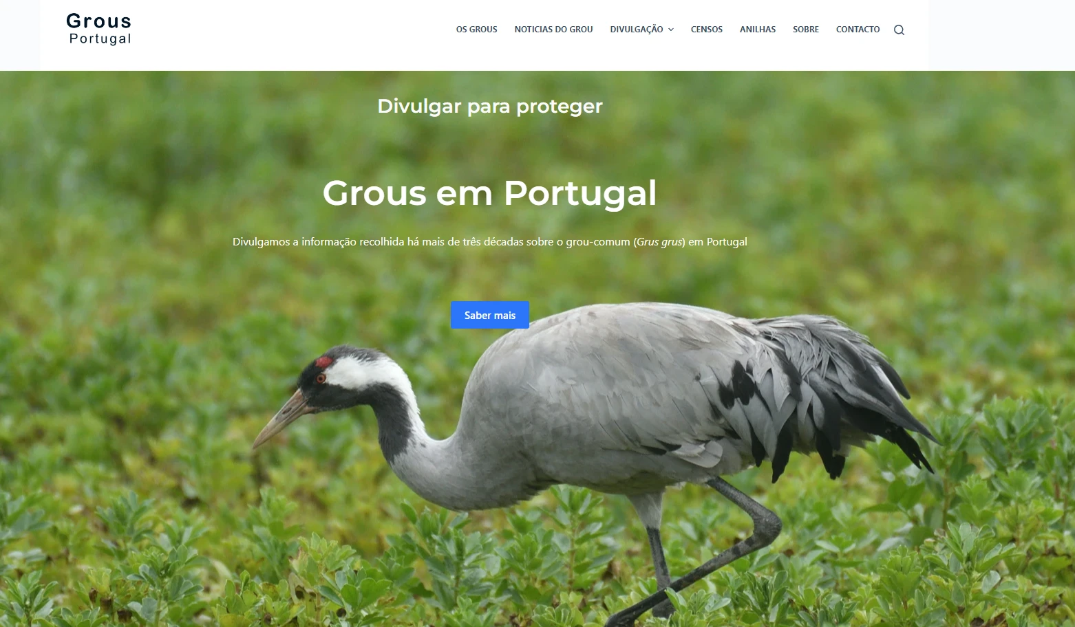 frontpage do website GrousPortugal.org